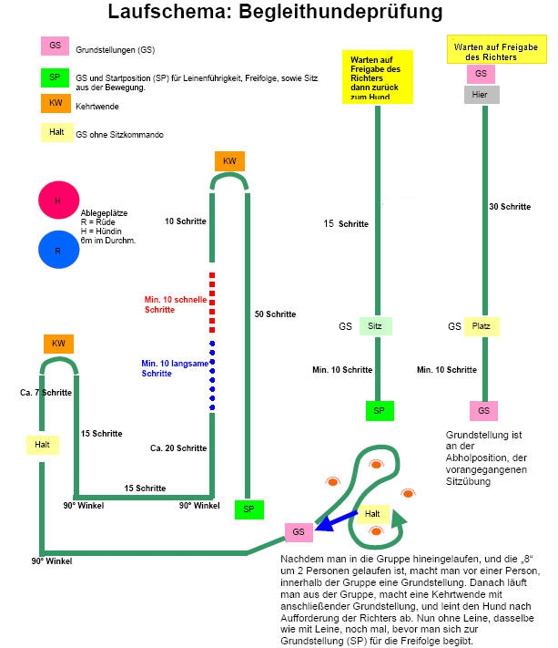 Laufschema BH