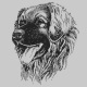 Leo Kopf  lks grau 80x80 .jpg