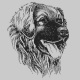 Leo Kopf  rts grau 80x80.jpg