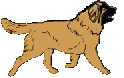 LeoAnim1.gif