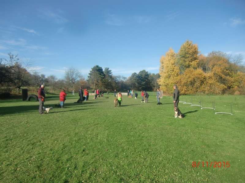11-2015 Hundeplatz 1