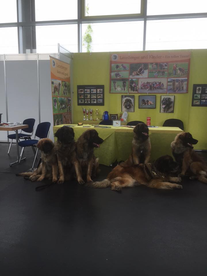 Ausstellungsstand Erfurt 1.jpg