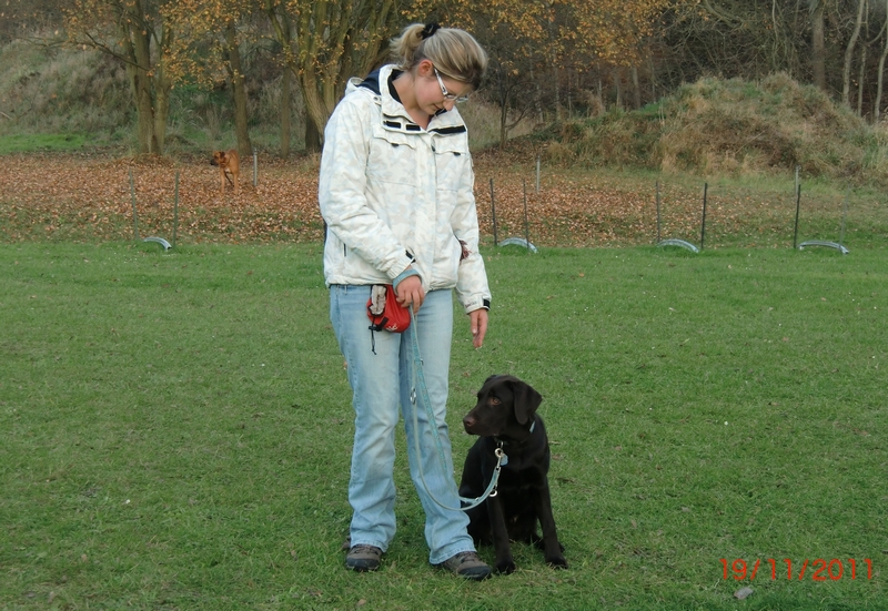 Balou 1
