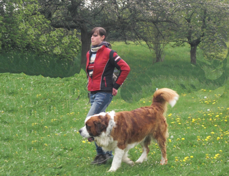 Balou