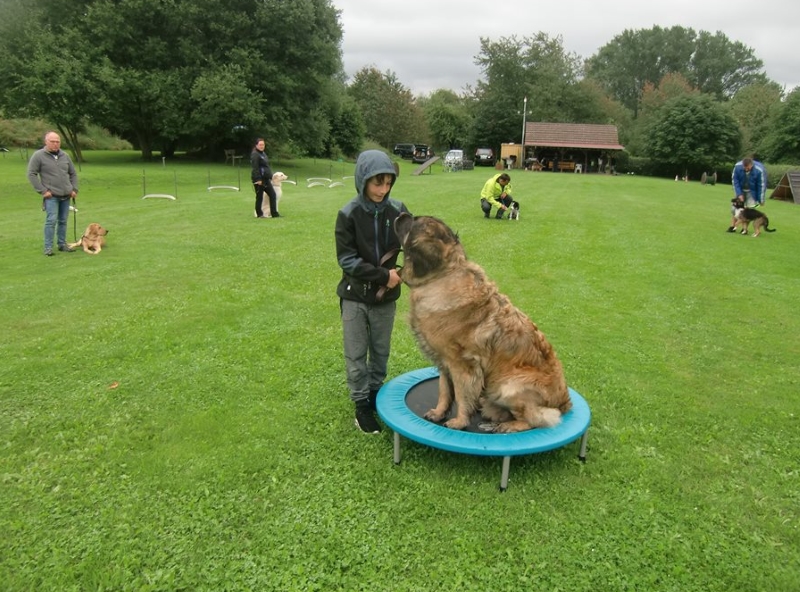 Cimba  08-2017.jpg