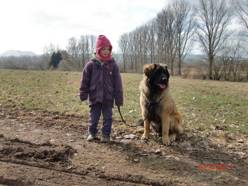 Cimba Emilia
