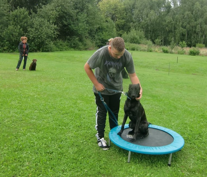 Daniel  Sam  08-2017 .jpg