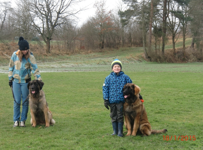Hundeplatz 01-2015 