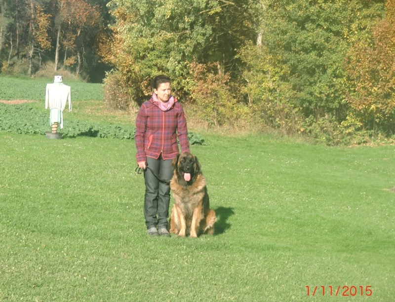 Hundeplatz 01.11.2015 