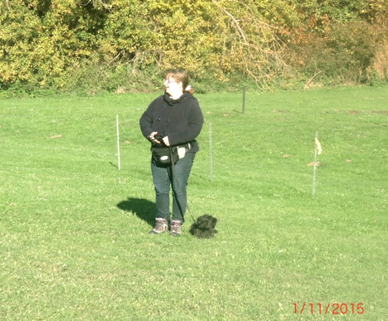 Hundeplatz 01.11.2015  1