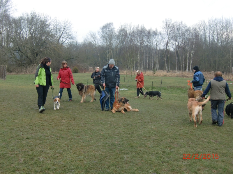 Hundeplatz 02-2015