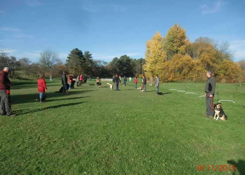 Hundeplatz 08.11.2015  