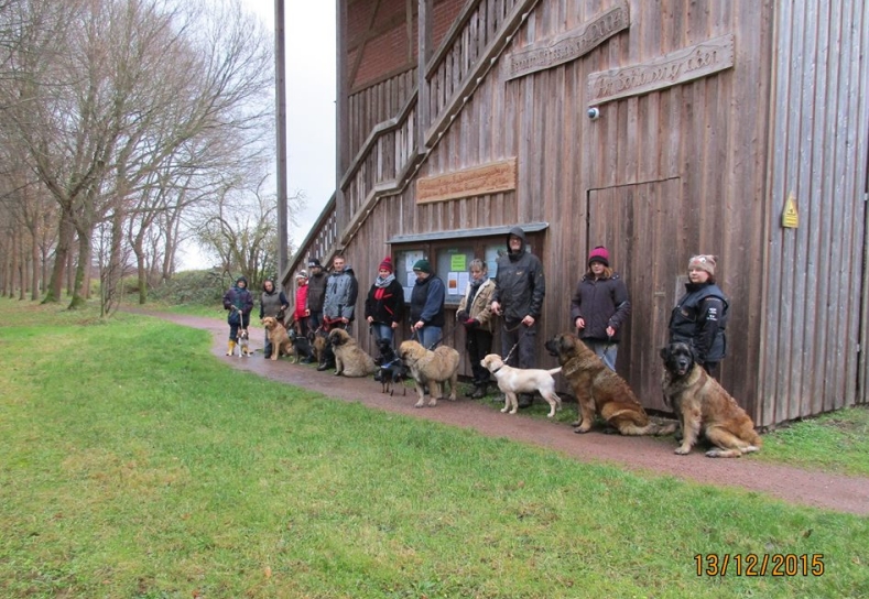 Hundeplatz 08.11.2015  1