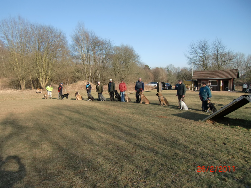 Hundeplatz 1