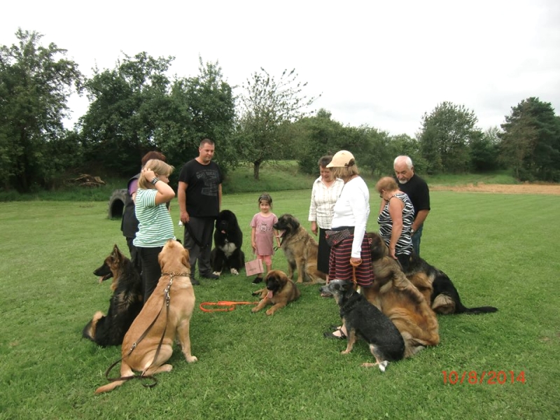 Hundeplatz 10.08.2014  