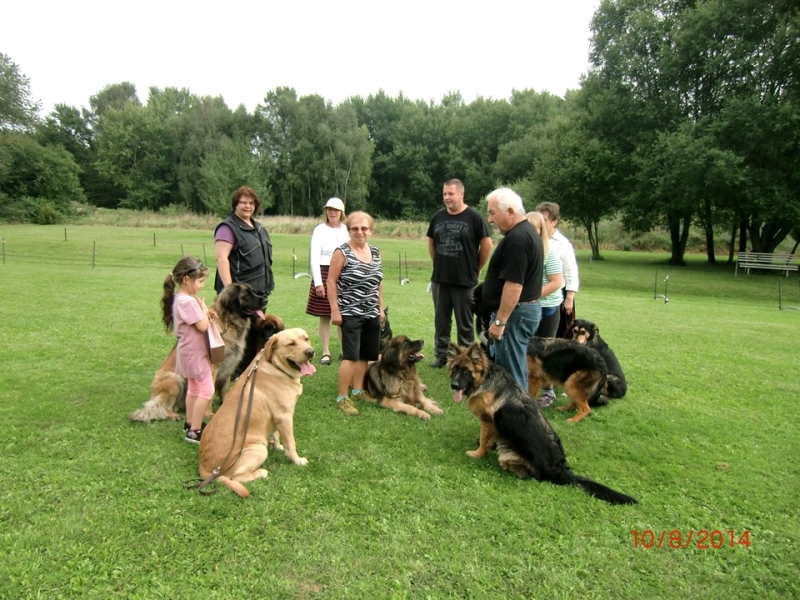 Hundeplatz 10.08.2014  1