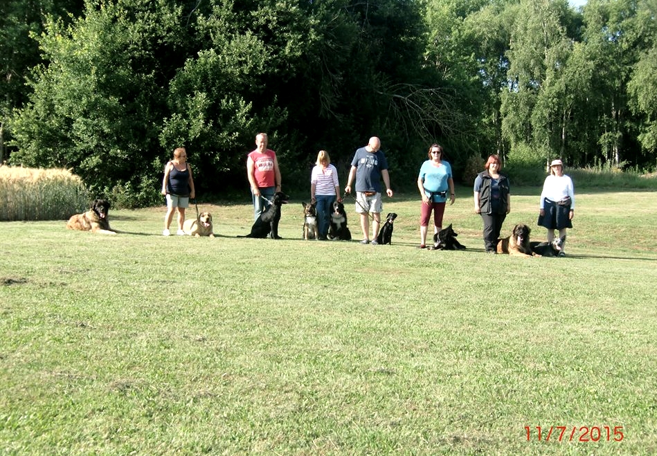 Hundeplatz 11.07.2015 
