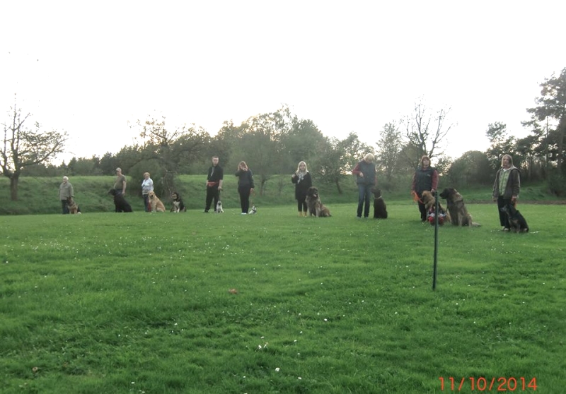 Hundeplatz 11.10.2014  1