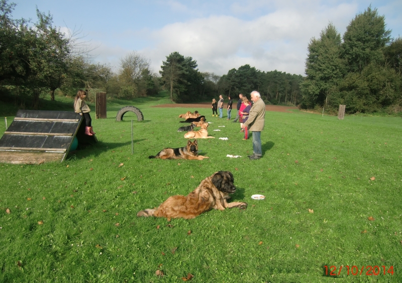 Hundeplatz 12.10.2014  1
