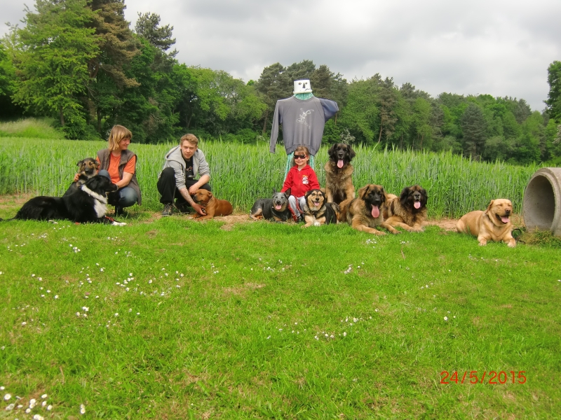 Hundeplatz 14-05-2015