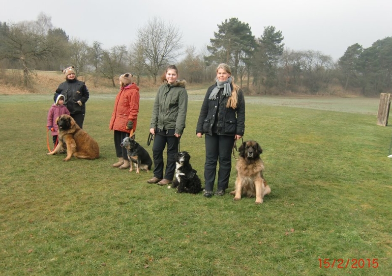 Hundeplatz 15.02.2015 