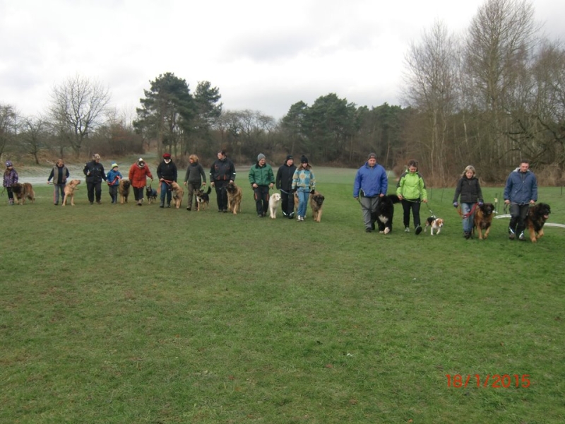 Hundeplatz 18.01.2015  1