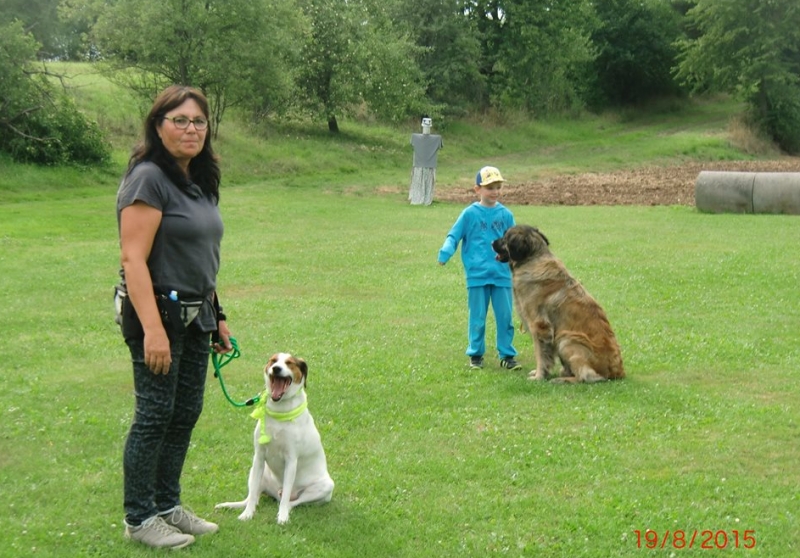 Hundeplatz 19.08.2015  