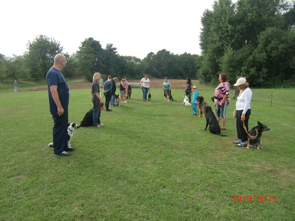 Hundeplatz 19.08.2015  2