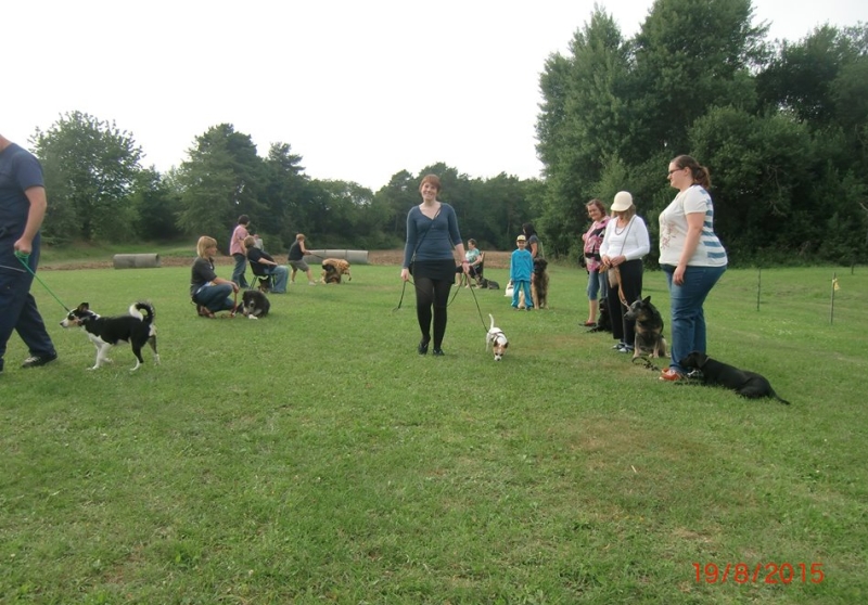 Hundeplatz 19.08.2015  3