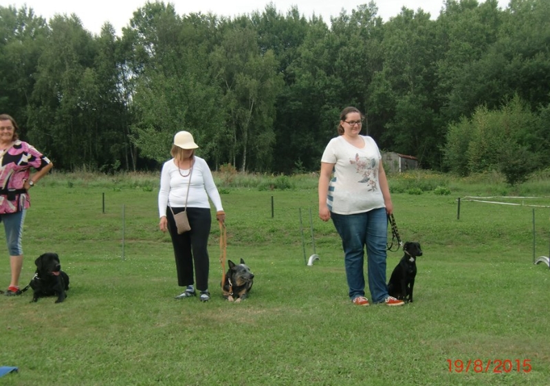 Hundeplatz 19.08.2015  4