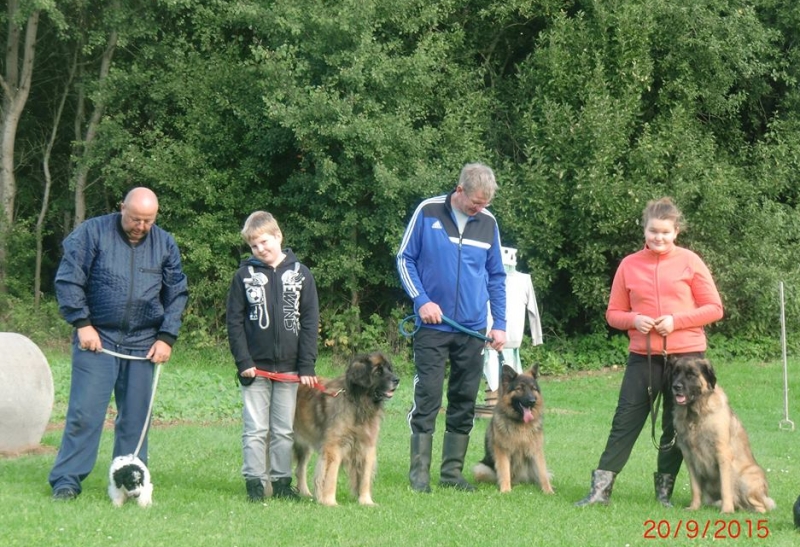Hundeplatz 20.09.2015  5