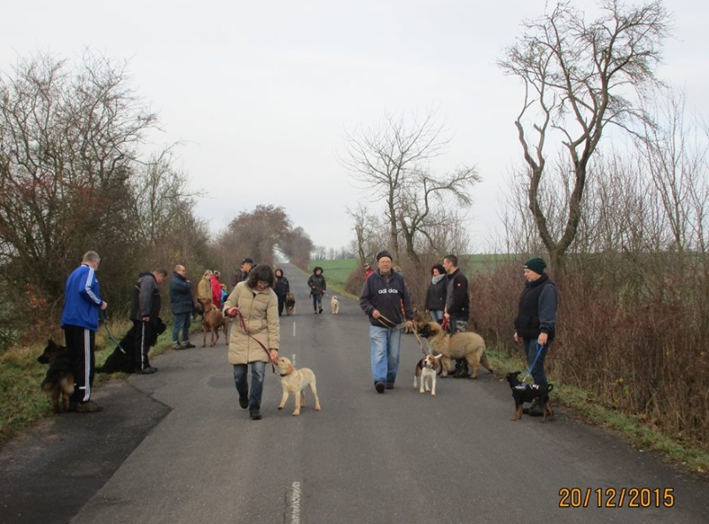 Hundeplatz 20.12.2015  11