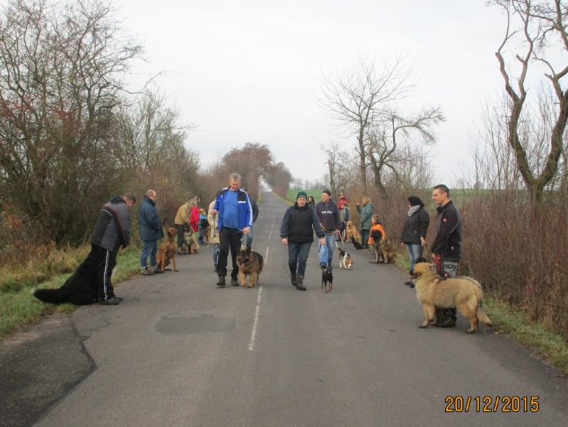Hundeplatz 20.12.2015  13