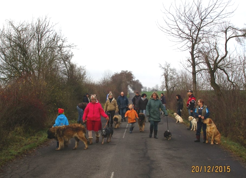 Hundeplatz 20.12.2015  8