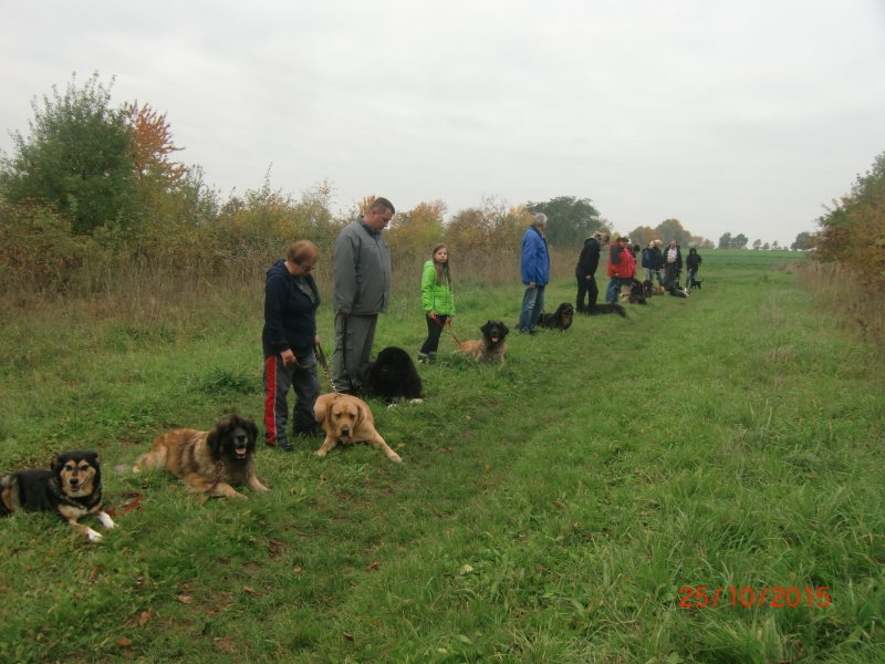 Hundeplatz 25.10.2015
