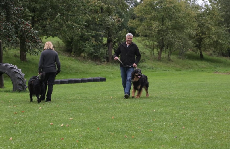 Hundeplatz 27.09.2015  1