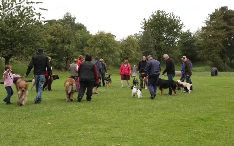 Hundeplatz 27.09.2015  3