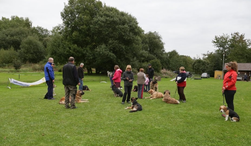 Hundeplatz 27.09.2015  4