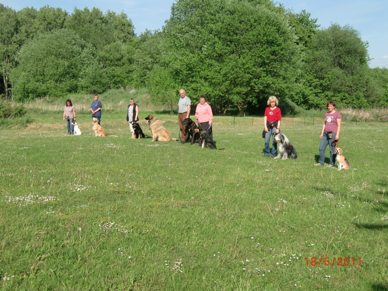 Hundeplatz 3