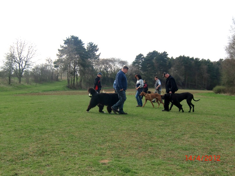 Hundeplatz 4-2012  4
