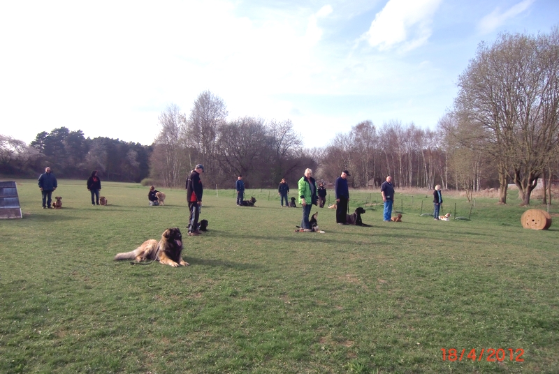 Hundeplatz 4-2012 1