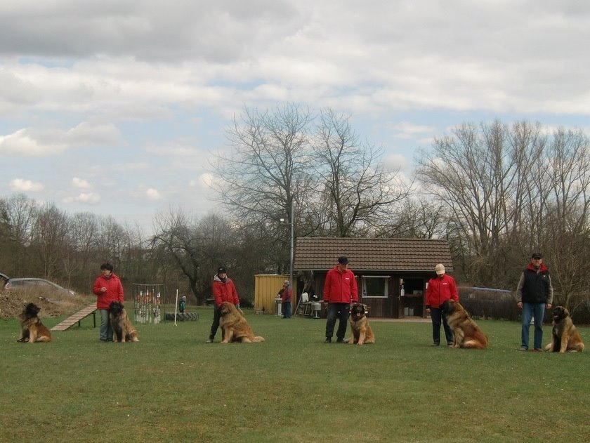 Hundeplatz Michels  Hartung Herold