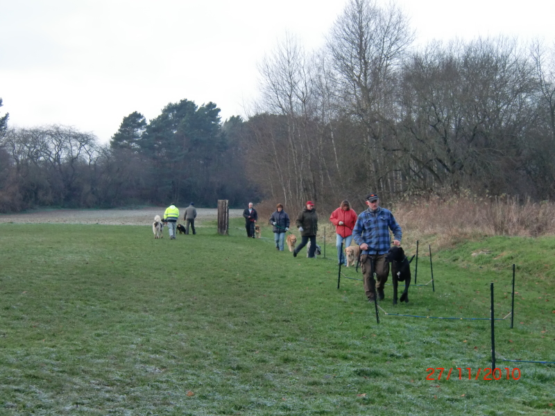 Hundeplatz