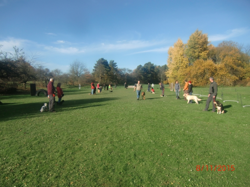 Hundeplatz07.11.2015 1