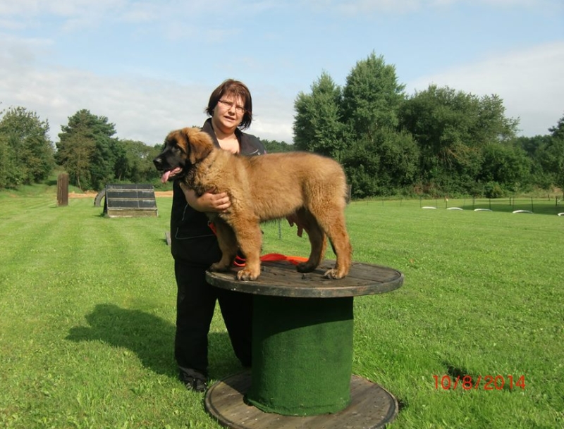 Isy Kartin 08.2014