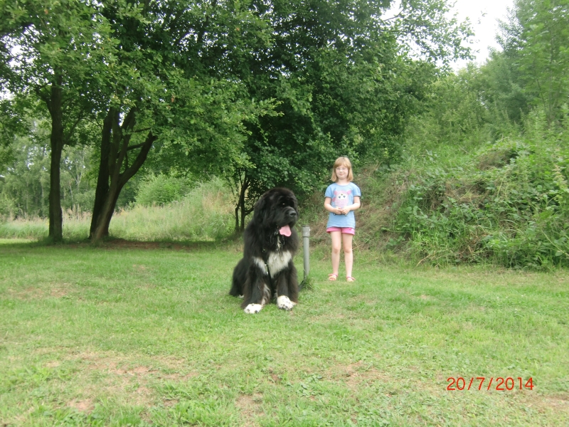 Lilli Fin