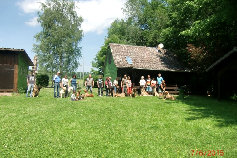 Tag des Hundes 07.06.2015