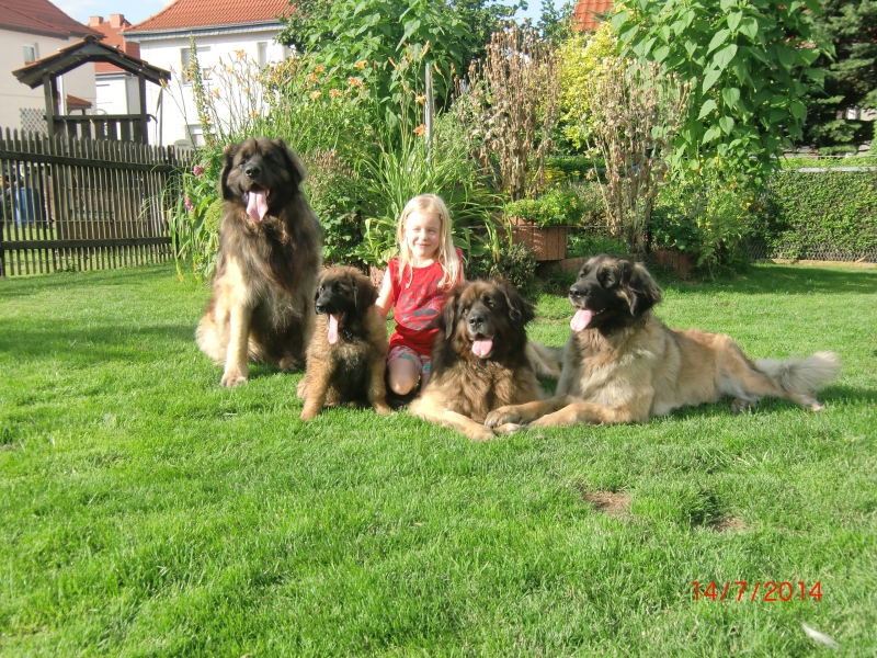 Tracy Chip Cimba Isy  7-2014 1