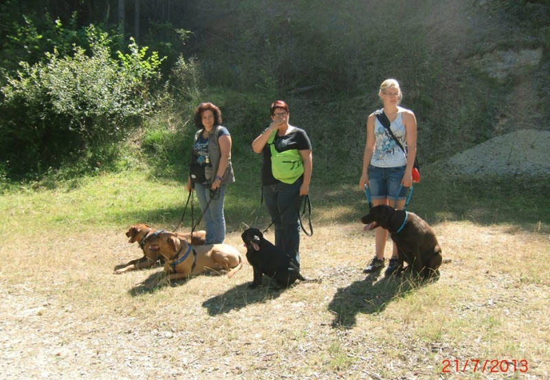 Wanderung Dreinberg 21.07.2013  2