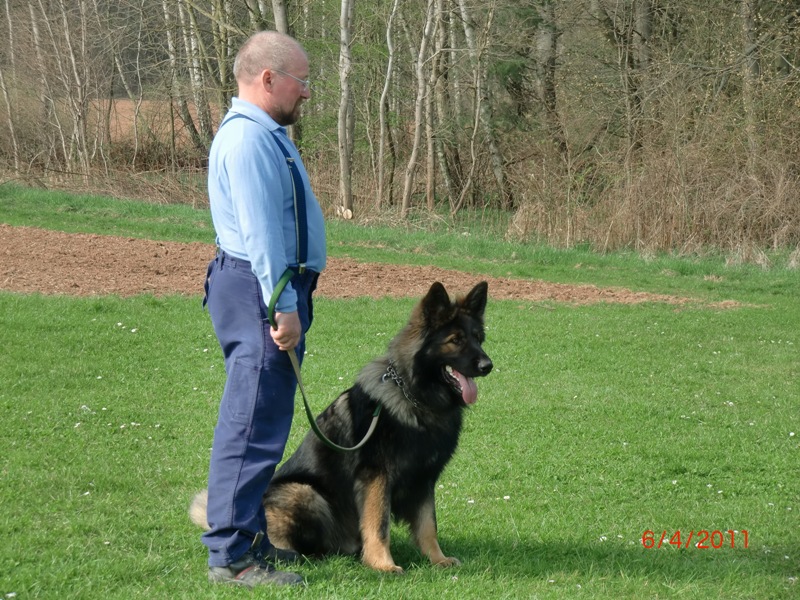 Wolf 1